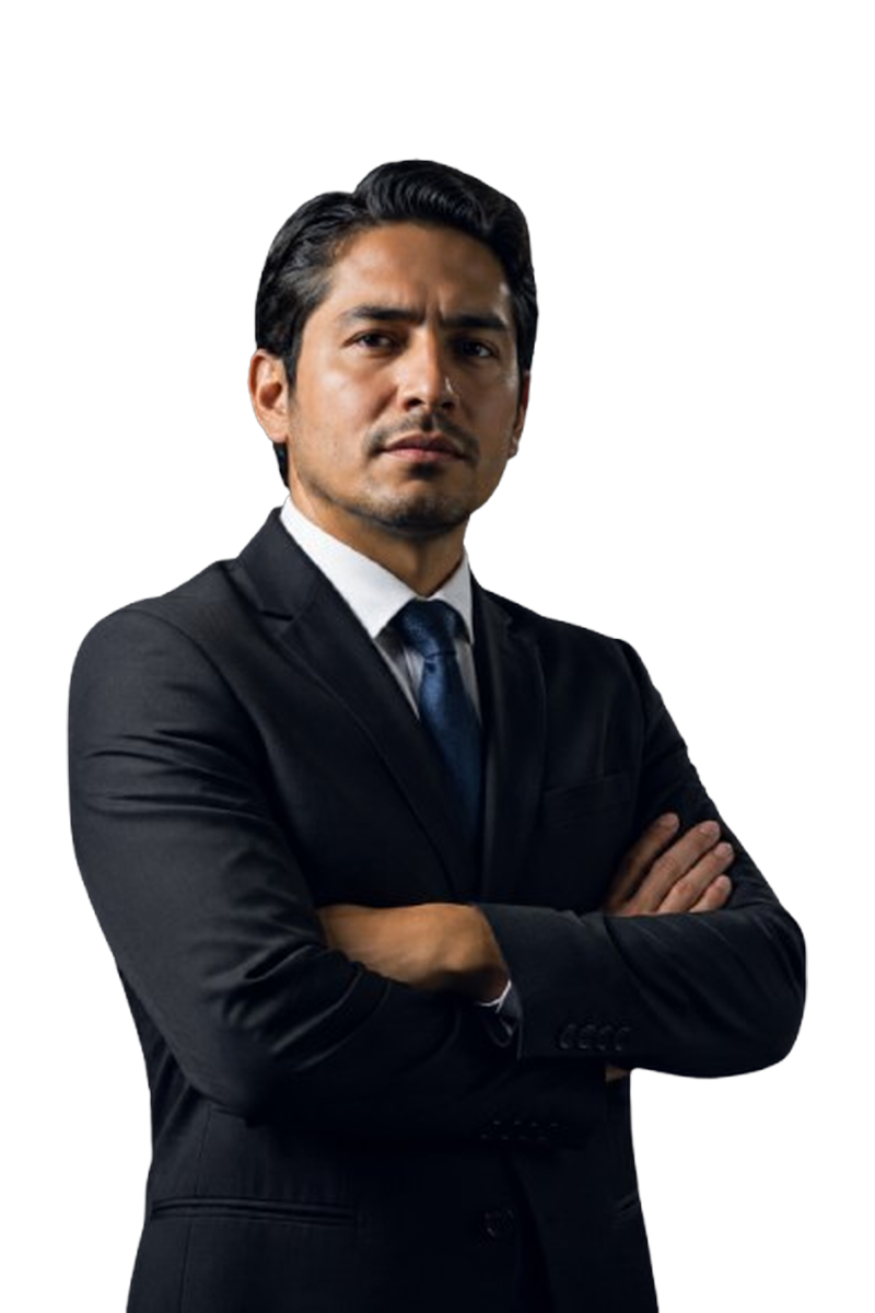 Servicios profesionales